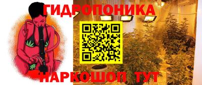 гашик Краснодар